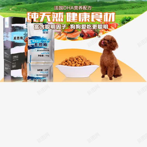狗粮高清素材 装修 页面网页 平面电商 创意素材 png素材 狗粮素材