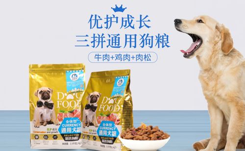 小狗狗粮怎么喂 如何泡幼犬狗粮