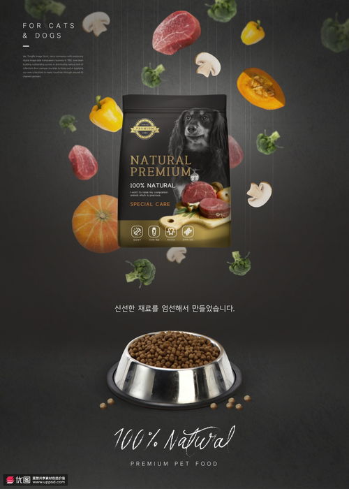 天然配方 新鲜食材 狗粮狗食 宠物食品海报设计psd10 海报招贴 食品海报 海报招贴 食品海报
