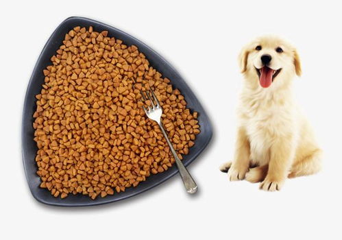 成年犬一天吃多少狗粮 吃什么狗粮最好最健康