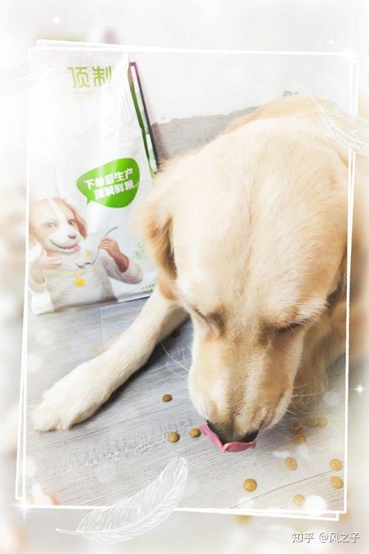 蓝氏狗粮有用过的吗 这个牌子的狗粮如何呢