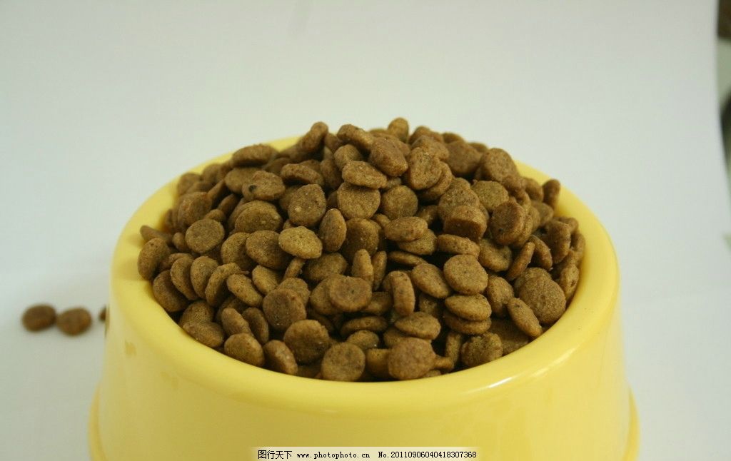 狗粮图片