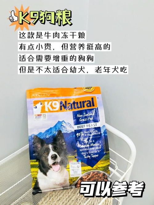 新手铲屎官避雷 这些劣质狗粮可别再用啦