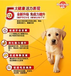 宝路幼犬狗粮专业设计为狗狗成长添动力