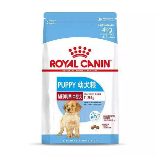 饮食没顾好,金毛变白毛