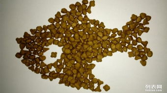 图 狗粮厂家批发,5元 斤,寻求战略合作伙伴 重庆宠物食品 用品