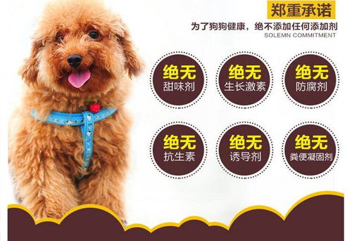 狗粮泰迪专用狗粮5斤20斤幼犬成犬孕犬补钙亮毛去泪痕天然有机粮