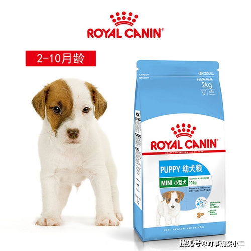 市面上的垃圾猫狗粮 如何识别与避免