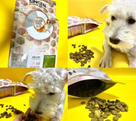 狗狗吃哪种狗粮好？信元发育宝狗粮闭眼入就对了！